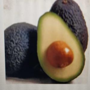  Avocat Frais - fruits et légumes emballage- boîtes en carton de la meilleure qualité,  en fonction des volumes,  il est possible de travailler avec la marque du client.-- --traitement- exempt de mouches des fruits,  conforme aux exigences phytosanitaires requises par le marché international.-- -- --utilisations de 