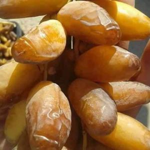  Dattes Algerienne Deglet Nour - fruits et légumes dattes algerienne deglet nour de meilleure qualit&eacute;,  disponible tout au long de l'ann&eacute;e jusqu'au 500 tonnes avec un meilleure prix et selon la quantit&eacute;,  et un temps d'exp&eacute;dition tr&egrave;s r&eacute;duit.