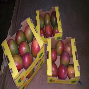  Export Mangues Kent Cote D'ivoire - fruits et légumes ous exportons de la mangue kent de qualit&eacute; sup&eacute;rieure en europe et ailleurs avec les normes exiges pour l'export tel que ----global gap---certificats phytosanitaires---eur 1---global gap------**nous avons une grande capacit&eacute; d'exportation pour cette campagne de 2020.----nous exp