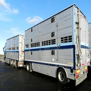  Vendre Divers Véhicules Transport D'animaux - transport transit logistique nous sommes une société d'import-export de camions et semi-remorques d'occasion pour le transport d'animaux,  de véhicules réfrigérés,  de semi-remorques citernes alimentaires,  de produits chimiques,  d'hydrocarbures et pour les bois longs ou courts (grumiers).