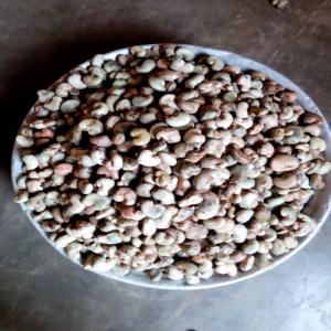  Recherche D'un Acheteur Potentiel - fruits secs et graines grillées nous mettons en vente au b&eacute;nin des produits de qualit&eacute; et quantit&eacute; tels que- noix de cajou; amandes de karit&eacute;; beurre de karit&eacute; ; soja; maïs; haricot.... etc