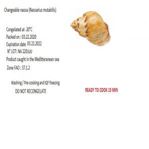 FROZEN SEA SNAIL - Tunisia Agent Customer search - Espaceagro