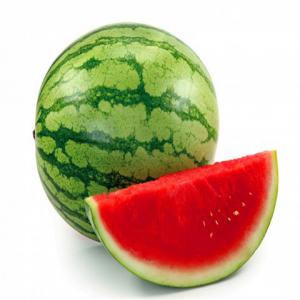  Pastèque Du Maroc Région Taroudant - fruits et légumes bonjour, --nous avons une ferme spécialisée dans la culture de fruits et légumes. nous avons cultivé cette année 8 hectares   de pastèque qui sera prete à la récolte début (vers le 8 mai 2022). nous cherchons des clients dans l’europe not