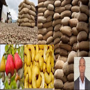  Financement Pour Achat De Noix Brute De Cajou - fruits secs et graines grillées bjr chers tous,  je suis un grand commercial en service d'un scoops,  &agrave; pr&eacute;sent je suis disponible 24h/24 pour epoler tout exportateur d'anacarde dans le cadre de son achat de produits en sur le terrain. j'ai une ma&icirc;trise parfaite du terrain ,  je suis honnete,  responsable,  et tr&eg