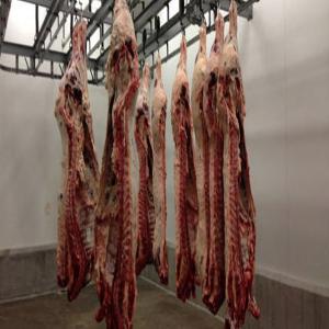  Fournisseur De Viande Rouge - viandes et oeufs nous sommes une entreprise crèer en 1989,  pour vente de viandes rouges,  demi-grossiste et déttaillant,  notre entreprise et magasin boucherie haj mohammed; situé au coeur du centre ville avec des annexes autour de la ville meknès ont connus toutes ces annèes la bonn