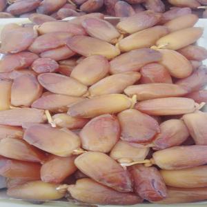  Rechercher Un Importateur De Dattes - fruits et légumes nous sommes une entreprise algérienne d'importation et d'exportation--  nous voulons exporter des dattes algériennes de toutes sortes--celui qui veut acheter contactez-nous 
