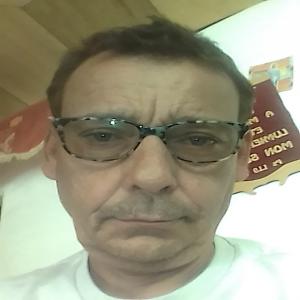  Je Cherche Des Oeuf Couvert - viandes et oeufs je voudrais un fournisseur régulier pour l achat  d oeuf a couvert dans un pays d afrique a des prix très resonsable je serais un client régulier si nous nous entendons merci