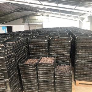  Beurre De Karité Brut, Ecocert - matiere vegetale bonjour, --nous travaillons en direct avec un producteur et l’ensemble des femmes productrices de karité du nord de la côte d’ivoire.--notre beurre de karité est vendu sous sa forme brut 100% naturel,  avec la certification ecocert. nous produisons de quelques kilos ou plusieurs to