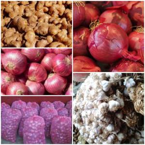  Oignon, Ail, Gingembre De Madagascar - fruits et légumes nous sommes une groupement &agrave; titre d'int&eacute;ret &eacute;conomique ou gie,  qui intervient dans le domaine de l'agriculture et la collecte des produit locaux de madagascar.----nous travaillons mains dans la mains avec nos plus fid&egrave;les cultivateurs partout sur madagascar.----nous &eac