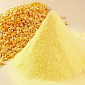  Farine De Maïs, Maïs En Grains En Destockage - céréales nous proposons la farine de maïs ou maïs grains en gros produit d'origine ukraine,  biolorussie et russie,  condiotionnement 25 kg- 50 kg ou selon requete clients,  avec incoterm fca,  fob,  cif.--