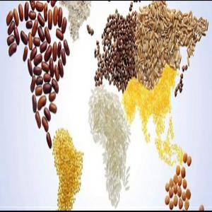  Agroalimentaire - autres basée en ukraine ,  nous exerçons dans le domaine de la vente en gros de produits agroalimentaires tel que---fèves de cacao, --poudre de cacao naturel, --poudre de cacao alcalinise, --farine de ble, --huile de tournesol raffinee, --noix de cajoux, --viande halal, --ble, --hevea, --nous di