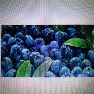  Vente Myrtilles Fraiches - fruits et légumes nous sommes une entreprise qui s'occupe de la production,  vente et distribution des myrtilles fraiches - conventionnelles - intéressée à trouver des débouchés pour nos récoltes de fruits -des quantités jusqu'à 50tonnes par an,  périodes d