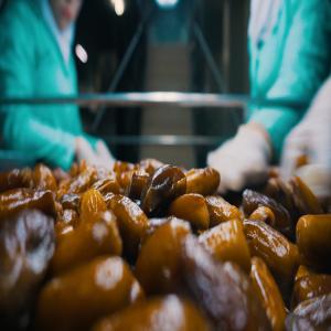  Algerian Deglet Nour Dates - roasted seeds and nuts leading producer and exporter of algerian deglet nour dates and 100% natural date ingredients. by engaging in close cooperation with over 500 selected producers around algeria,  we source the finest dates and process them in a wide array of styles and forms to give our customers exceptional choice. -