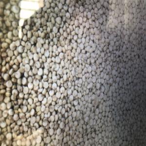  Quinoa - céréales je recherche des clients intéressés pour acheter du quinoa par tonne avec des prix compétitifs avec tous les certificats nécessaires