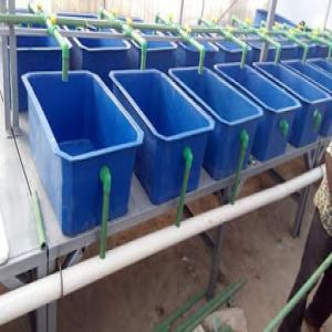  Recherche Un Financement Pour Un Projet Piscicole - Investissement capitaux face à une demande de plus en plus récurrente d'alevins de poissons chat et de tilapia,  nous souhaiterions mettre en place une écloserie moderne pour la production de ces alevins. nous recherchons alors des financements ou des subventions pour mener à bien ce projet au b&