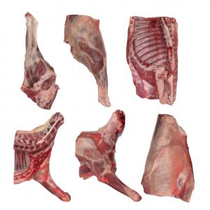  Frozen Halal Mutton Carcass Cuts - meat and eggs we are selling frozen halal mutton carcass & 6 cuts.--origin- italy--price-  3.25/kg exw (carcass) and  3.35/kg exw (6 cuts)--- 3 containers 40ft