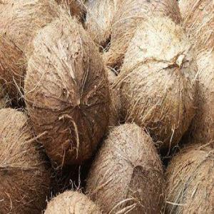  Je Suis La Recherche De Clients - matiere vegetale si vous etes a la recherche d'un fournisseur pour les fibre de noix de coco,  