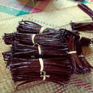  Vanille Bourbon Et Tk Noir Prix Fob 300euro - épices aromates a la recherche d'une client pour vanille de madagascar type bourbon et tk noir prx fob 300euro/kg --merci