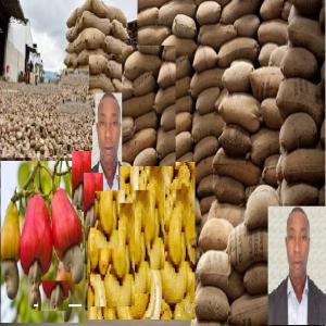  Fournisseur De Noix Brute De Cajou; - fruits secs et graines grillées bonjour,  je suis un fournisseur de fruits et l&eacute;gumes,  je suis bas&eacute; en cote d'ivoire et j'ai bonne exp&eacute;rience dans le domaine suscit&eacute; . je recherche urgemment toutes personnes physique ou morale qui serait dans le besoin.pri&egrave;re me contacter le plus t&ocirc;t possibl