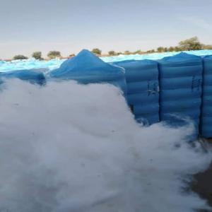  Coton - matiere vegetale conton--origine-soudan --quantité -2000 tone--prix-1500$ par tonne --paiement -l/c--whatsapp -+22678189792--