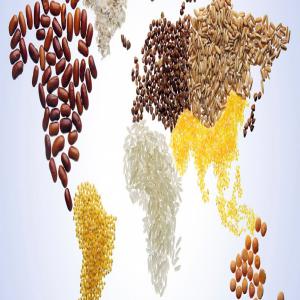  Agro-alimentaire - autres nous exportons et commercialisons des produits de toutes sortes avec un délai de livraison assez rapide dans le pays ou la ville de destination.--notre entreprise s'efforce de satisfaire ses clients partout dans le monde grâce à son réseau de contacts bien établi ai