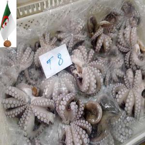  Poulpe/carp/sardine/...autre - poissons notre société algérienne,  spécialisée dans le domaine d'export,  notre chant d'export touche  tous types poissons,   (frais ou congelés). la qualité et le prix.--nous cherchons des nouveaux clients sérieux sur le marche international. --nous &eac