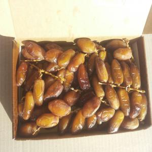  Dates Deglet Nour Of Tunisia - fruits et légumes dates deglet nour of tunisia fresh natural and processed in different packaging,  250g,  500g,  283g,  850g,  1kg,  2kg,  5kg,  10kg--on branches,  without branches,  pitted,  processed with glucose syrop,  hydrated,  semi dry,  dry.
