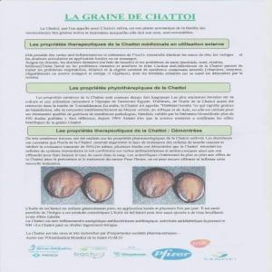  Graine De Chattoi - fruits secs et graines grillées bonjour/bonsoir ,  je vous apporte sur le marché de la phytothérapie des secrets médicaux asiatique. des plantes qui se sont révélées utilise dans la médicine a base des plantes .----nous avons à notre disposition certaines plantes qui vont sure