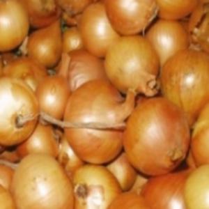  Founiture Des Légumes Spécialité Oignons - fruits et légumes bonjour,  nous sommes un fournisseur d'ognions au maroc ( agriculteurs,  donc pas d'intermédiares),  nous cherchons des clients sérieux au sénégal,  ( grossiste surtout),  prière nous contacter pour plus d'informations. stock disponible,  envoi par voix maritime en conte