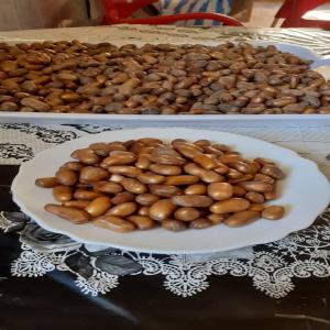  Vente De Graines De Ginseng - semence graine plant vente de graines de ginseng qualité supérieure'quantite selon la commande 'disponibilite toute l'année'possibilite de livraison 'prix très attractif.