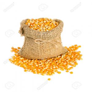  Recherche De Partenaire De Maïs - céréales bonjour j'ai besoin un exportateur de maïs de qualit&eacute;. disponible le stocks. nous avons besoin des vrai partenaire