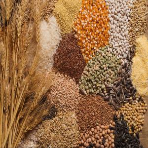  We Are Looking For Serions Clients To Represent - cereals we are independent agents and we facilitate the transactions and negotiations between the seller and the buyer. we represent a large number of producers and manufacturers and we help them to promote and sell their agricultural products all over africa. indeed,  we prefer to specialize in cereals and 