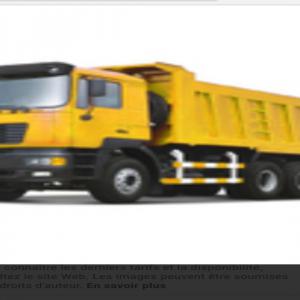  Recherche De Partenariat Pour Mon Entrprise - transport transit logistique bonjour je suis à la recherche de partenaire financier ou un convoyeur de camion remorque benne capacité 35 a 40 tonnes   sous forme de location vente de /camion  après accord .destiné à la réalisation de mes différentes projet  contacter moi 