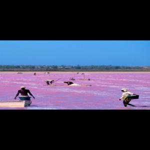  Vente De Sel Du Lac Rose Sénégal - chimie additif engrais soci&eacute;t&eacute; sen&eacute;galaise actif dans le commerce international (n&eacute;goce),  de logistique et de transport de marchandises. nous sommes fournisseur de sel provenant du s&eacute;n&eacute;gal plus pr&eacute;cis&eacute;ment le lac rose. les eaux du lac rose sont parmies les plus sal&e