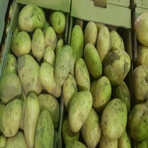  Offre Pommes De Terre D'espagne - fruits et légumes nous mettons en vente des pommes de terre d'espagne  de très bonne qualité.--grosses quantités plusieurs conditionnements possibles.