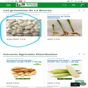  Mais Blanc Au Togo - céréales nous disposons de 9000 tonnes de mais blanc au togo. priere nous contacter si vous etes interesses. 