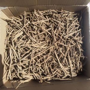  Akarkara Anacyclus Pyrethrum) - épices aromates bonjour, --société algérien exporté de la akarkara ( anacyclus pyrethrum).  40 euro / kg.--minimum - 50kg --incoterm - cpt--mode de paiement - l/c à  vue ( irrévocable et conformé).