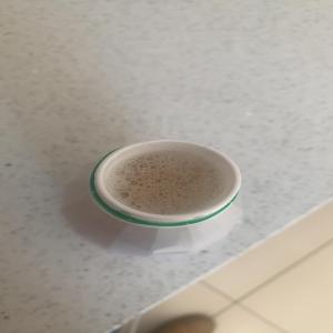  Snail Slime - other we can supply with snail slime,  in excellent quality. out snail slime  iit's a total  natural product ,  a true wonder of nature,  we deliver worldwide