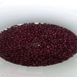  Haricot Rouge - fruits et légumes bonjour,  nous sommes &agrave; la recherche de fournisseurs soci&eacute;t&eacute; ou particuliers disposant d'un stock ou pouvant en disposer d'haricot rouge du b&eacute;nin ou du cameroun. r&eacute;colte 2019/2020.--merci de nous contacter au plus vite 