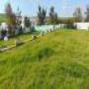  Tomate Sécher En Plein Air - fruits et légumes je   cherche    des  partenaires     pour  une collaboration  dans le domaine agricole    pour  faire   de  la tomate  s&eacute;cher  ou    autre  produits  agricole  comme    l'huile  d'olive     ou    olives de  table   en tunisie  pour   l ann&eacute;e  prochaine .--j'ai   une ferme  de  17 ha   