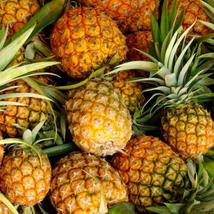  Recherche Acheteurs De Productions D'ananas - fruits et légumes la soci&eacute;t&eacute; ivoirienne de production d'ananas,  en cr&eacute;ation,  recherche des acheteurs d'ananas en gros. l'entreprise envisage de se lancer dans une production de deux hectares d'ananas dans un premier temps,  suivi par 10 hectares d'ananas. elle ambitionne d'atteindre 200 hectares &