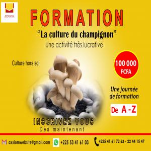  Initiation La Culture De Champignon - champignon levure nous formons des professionnels à la culture de champignon pleurote en 24h. une formation 100% pratique