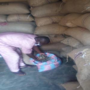  Des Noix De Cajou - fruits secs et graines grillées je suis un b&eacute;ninois &agrave; la recherche de clients s&eacute;rieux pour l'achat des graines de cajou de bonne qualit&eacute; . je suis disponible a vous fournir et exp&eacute;di&eacute; le produit jusqu'&agrave; votre port de destination. merci .