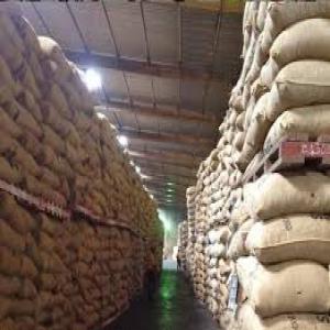  Vente Enligne Rapide Et Fiable - fruits secs et graines grillées besoin d'aide financi&egrave;re pour le recommencer ma commerce en ligne produits disponibles - acajou--contacter whatsapp