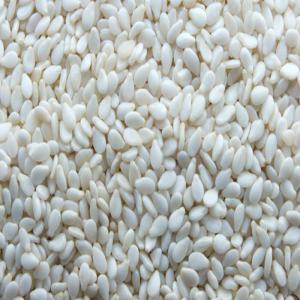  Cherche Fournisseur Sesame Blanc - céréales bonjour chers tous, --je recherche du sésame blanc soufflé et nettoyé à lomé à un très bon prix  fob.je reste à l'écoute des différents propositions de prix.--1190 dollars la tonne dont 20 fca de commission sur chaque kg vendu.