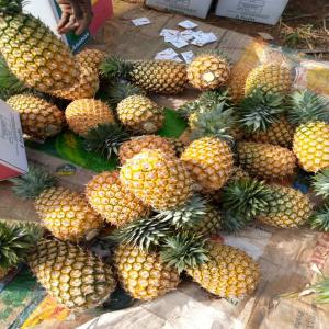  Fruits Biologique Et Conventionnel - fruits et légumes bonjour mr--je suis une soci&eacute;t&eacute; exportatrice de fruits et l&eacute;gumes--je suis &agrave; la recherche des march&eacute;s europ&eacute;en pour mes diff&eacute;rents produits--- pure jus d'ananas biologiques conditionn&eacute;--- pure jus d'ananas conventionnel conditionn&eacute;--- an