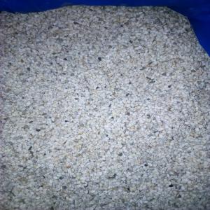  Césame Blanc - fruits secs et graines grillées bonjour !--je recherche de clients pour un stock de 800 tonnes de c&eacute;same--je suis au b&eacute;nin et le stock est au magasin &agrave; cotonou