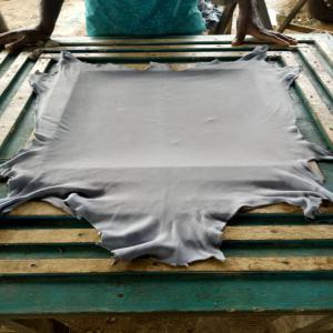 Peaux Animaux Tanné - animaux vivants je recherche des clients pour les peaux d'animaux tanné utiliser pour la fabrication de la maroquinerie des chaussures et autres produits en peau d'animaux