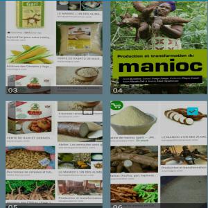  Recherche De Client Pour Mes Produits Viviers - céréales salut--pour la bonne productivité de votre société ou entreprise , j'ai a ma disposition plusieurs céréales comme maïs, farine de manioc, manioc , haricots etc.. --je suis disponible pour vendre en quantité suffisante pour vous.pour plus d'informations
