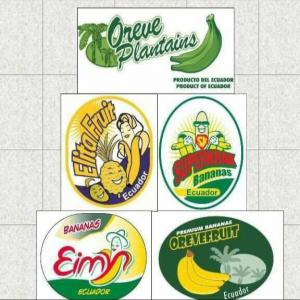  Banane Et Sucre - fruits et légumes bonjour,  je suis un agent commercial indépendant,  j'ai un porte feuille de client important pour l'achat du banane et du sucre avec des grosses quantités,  je cherche des fournisseurs et des importateurs dans ce domaine pour une collaboration gagnant/gagnant